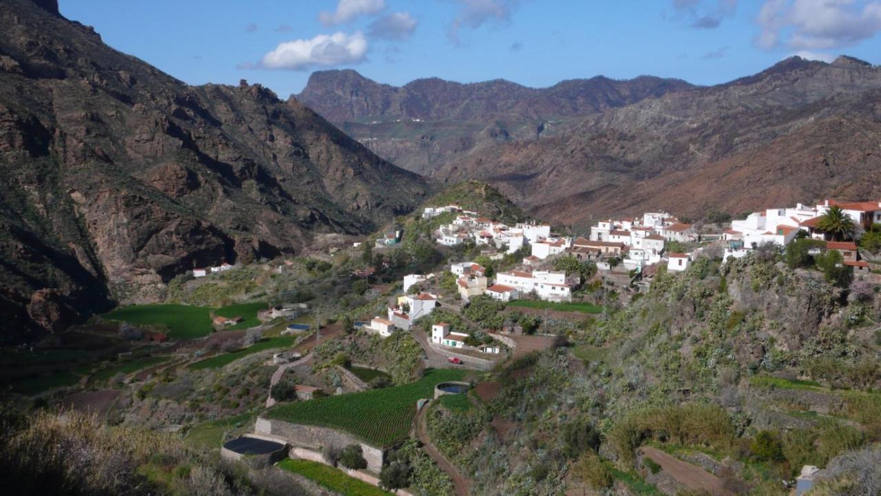 Ecoartejeda Cave House 게스트하우스 외부 사진